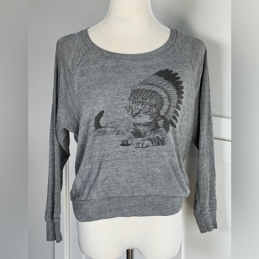 Cat With Native American Headress Gray Longsleeve Shirt, American Apparel Medium